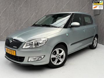 Skoda Fabia 1.2 TDI Greenline / NAP / Goed Onderhouden beschikbaar voor biedingen