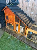 2 dwergkonijnreutjes gratis!, Dieren en Toebehoren, Ophalen, Zo goed als nieuw, Kippenhok of Kippenren