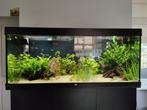 Juwel Rio 450, Ophalen, Zo goed als nieuw, Leeg aquarium