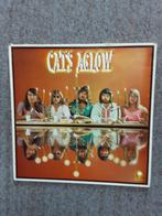 vinyl lp The Cats cats aglow, Ophalen of Verzenden, Gebruikt, 12 inch, Poprock