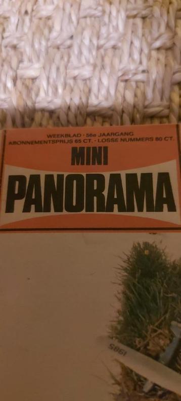 Mini Panorama 1985 beschikbaar voor biedingen