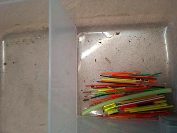 Dobber antennes beschikbaar voor biedingen