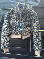 Nieuwe jas Tommy jeans, Kleding | Dames, Jassen | Winter, Ophalen of Verzenden, Zo goed als nieuw