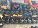 Technogym dumbbell dumbell set gewichten 22-42 kg, Sport en Fitness, Fitnessmaterialen, Ophalen, Dumbbell, Dumbbells, 22-42 kg