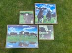 Buiten canvas koeien (nieuw in plastic), Ophalen, Zo goed als nieuw