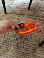 Tri-Mode LED Reflecterende Hondenhalsband – Maat S, Ophalen of Verzenden, Verlicht, Nieuw