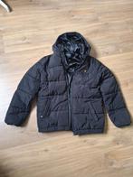 Lyle & Scott  winterjas  Jongen 15-16 jaar/ mt 164-170, Ophalen, Gebruikt, Lyle & Scott, Jongen