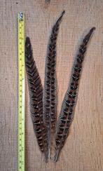 3 mooie veren fazant ,rui veren, Materiaal, Ophalen of Verzenden, Zo goed als nieuw, Nvt