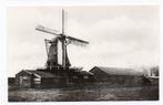 WESTZAAN - Molen - K. Tanger - Reproductie, Verzenden, Ongelopen, Noord-Holland