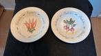 2 Franciscan serveerborden Carrot en Rasish, Ophalen of Verzenden, Zo goed als nieuw, Overige stijlen, Bord(en)