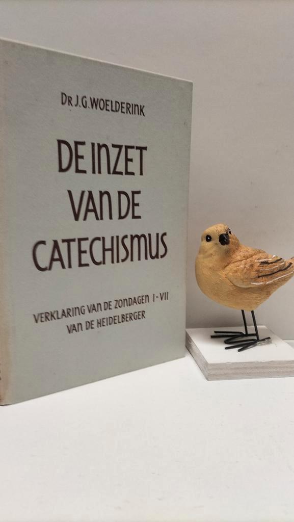 Woelderink, Dr. J.G.; De inzet van de Catechismus, Boeken, Godsdienst en Theologie, Gelezen, Christendom | Protestants, Ophalen of Verzenden