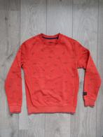 Mooie sweater WE fashion maat 146 152, Jongen, Trui of Vest, Ophalen of Verzenden, WE Fashion