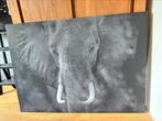 Schilderij olifant, Huis en Inrichting, Woonaccessoires | Schilderijen, Tekeningen en Foto's, Ophalen of Verzenden, Schilderij