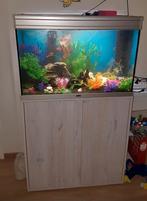 Aqualantis aquarium 80 cm met filter en inclusief meubel, Zo goed als nieuw, Ophalen, Leeg aquarium