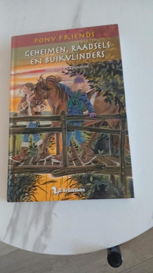 H. Kan Hemmink - Geheimen, raadsels en buikvlinders, Boeken, Kinderboeken | Jeugd | 10 tot 12 jaar, Zo goed als nieuw, Ophalen of Verzenden