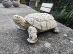 Betonnen tuinbeeld schildpad 25x 15x 9 cm, Tuin en Terras, Ophalen of Verzenden, Gebruikt, Beton, Dierenbeeld