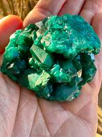 Dioptaas, Verzamelen, Ophalen of Verzenden