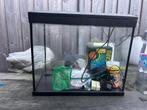 Superfish aquarium, Dieren en Toebehoren, Ophalen, Gebruikt, Leeg aquarium