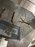 Grote vogelkooi, Dieren en Toebehoren, Vogels | Hokken en Kooien, Ophalen of Verzenden, Metaal, Vogelkooi