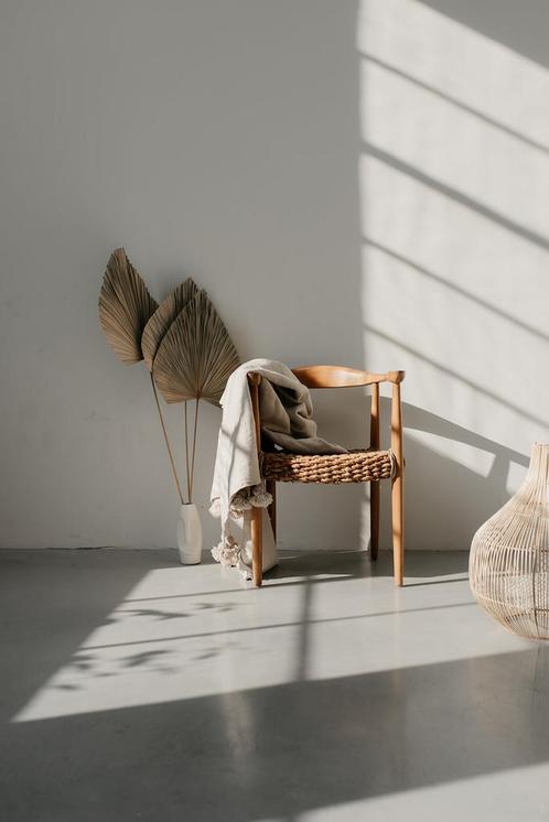 Gedroogde palmbladeren, Huis en Inrichting, Woonaccessoires | Kunstplanten en Kunstbloemen, Nieuw, Ophalen of Verzenden