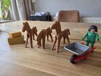 Playmobiel paarden, kruiwagen, hooi en pop, Ophalen of Verzenden