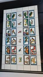 Nederlandse Antillen vel vogels 2006, Ophalen of Verzenden, Postfris