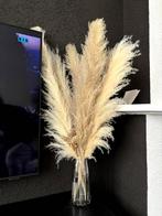 Pampas pluimen / droge bloemen, Huis en Inrichting, Woonaccessoires | Droogbloemen, Nieuw, Ophalen