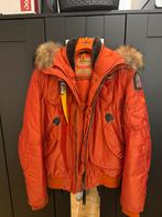 Originele parajumper gobi jas, Ophalen of Verzenden, Gedragen, Maat 52/54 (L), Oranje