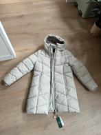 Pescara jas - Maat L, Kleding | Dames, Ophalen of Verzenden, Nieuw, Maat 42/44 (L)