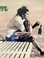 Grolsch 'droom' Reclame Poster Vintage, Rechthoekig Staand, Deurposter of groter, Ophalen of Verzenden, Zo goed als nieuw