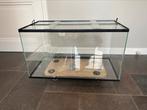 Ferplast Hamsterkooi aquarium glas 75x40x40, Dieren en Toebehoren, Knaagdieren en Konijnen | Hokken en Kooien, Kooi, Hamster, Zo goed als nieuw