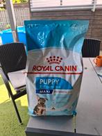 Puppy brok roal canin., Dieren en Toebehoren, Dierenvoeding, Ophalen, Hond