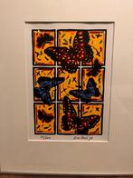 Kim Mun's '98 vlinder zeefdruk 28/300, Antiek en Kunst, Kunst | Etsen en Gravures, Ophalen