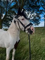 super lieve en leuke d pony te koop/ tinker te koop, Dieren en Toebehoren, Merrie, Zadelmak, Ontwormd, 11 jaar of ouder