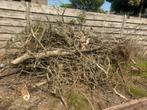 Haard hout, 3 tot 6 m³, Ophalen of Verzenden, Overige houtsoorten, Takken
