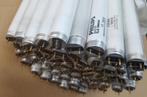 65 Stuks PHILIPS 18W - 60 cm TL Lampen / TL Buizen / Wit, Gebruikt, Minder dan 30 watt, Overige typen, Bipin of Steekvoet