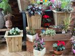 Houten Bloembakken voor Binnen & Buiten, Tuin en Terras, Ophalen, Minder dan 30 cm, Minder dan 60 cm, Vierkant