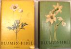 Blumen Fibel (2 delen); Schr Felsko; Uitg Herbig; 1956;, Ophalen of Verzenden, Gelezen