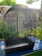 Vogelkooi, Dieren en Toebehoren, Ophalen, Gebruikt, Metaal, Vogelkooi