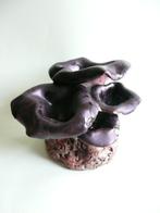handmade keramische paddestoelen - hoorn van overvloed, Antiek en Kunst, Antiek | Keramiek en Aardewerk, Ophalen