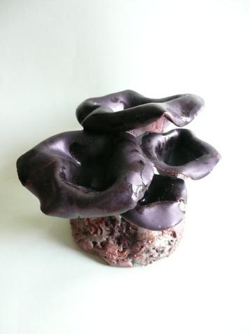 handmade keramische paddestoelen - hoorn van overvloed beschikbaar voor biedingen
