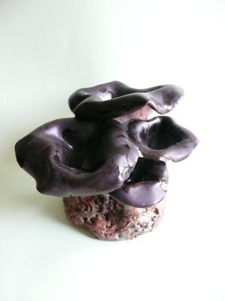 handmade keramische paddestoelen - hoorn van overvloed, Antiek en Kunst, Antiek | Keramiek en Aardewerk, Ophalen