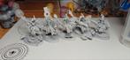 Warhammer aos Seraphon 2 units raptadon chargers/hunters, Hobby en Vrije tijd, Wargaming, Gebruikt, Figuurtje(s), Warhammer, Ophalen of Verzenden