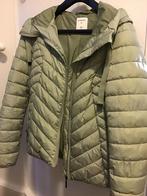 Tussenjas Nieuw!, Kleding | Dames, Nieuw, Ophalen of Verzenden, Maat 36 (S), Sandwich