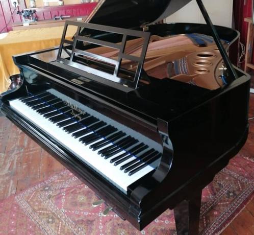 Bluthner vleugel - volledig gerestaureerd, Muziek en Instrumenten, Piano's, Gebruikt, Vleugel, Zwart, Hoogglans, Ophalen