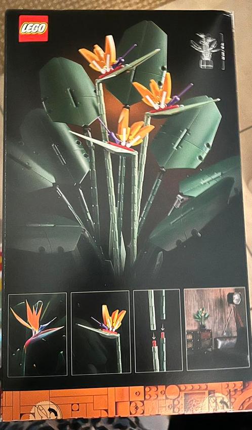 Nieuw in doos Lego bird of paradise 10289, Kinderen en Baby's, Speelgoed | Duplo en Lego, Nieuw, Lego, Complete set, Ophalen of Verzenden