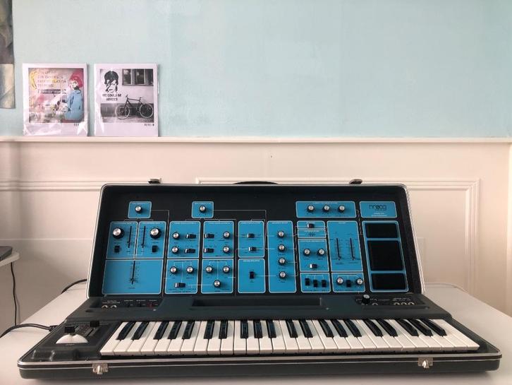Moog Sonic 6 - vintage analoge synthesizer in topstaat, Muziek en Instrumenten, Synthesizers, Zo goed als nieuw, Overige aantallen