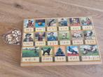 OUDE BROCANTE HOUTEN AAP NOOT MIES LEESPLANK, Antiek en Kunst, Antiek | Schoolplaten, Ophalen of Verzenden, Overige thema's