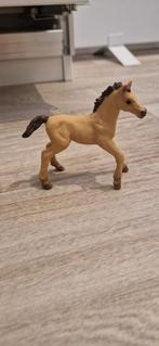 Schleich Criollo Definitivo veulen, Ophalen of Verzenden, Zo goed als nieuw, Paard, Beeldje of Figuurtje