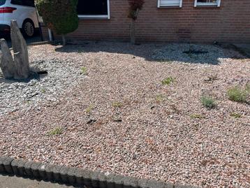 Gratis kiezelstenen beschikbaar voor biedingen